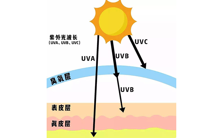 紫外線
